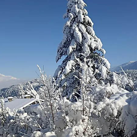 Alpenblick